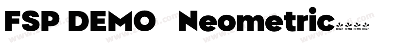 FSP DEMO   Neometric字体转换